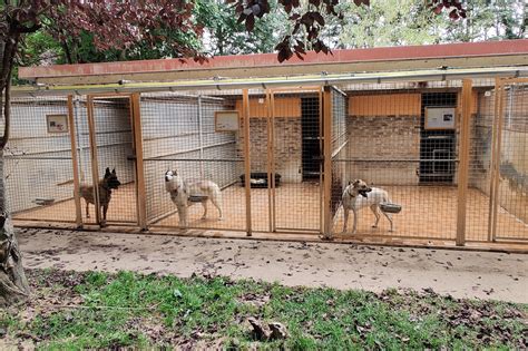 Essonne À Chamarande le refuge de la SPA est saturé face à l