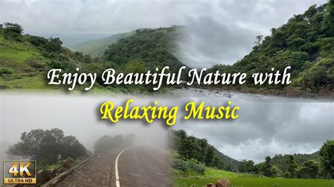 Enjoy Beautiful Nature With Relaxing Music K Youtube