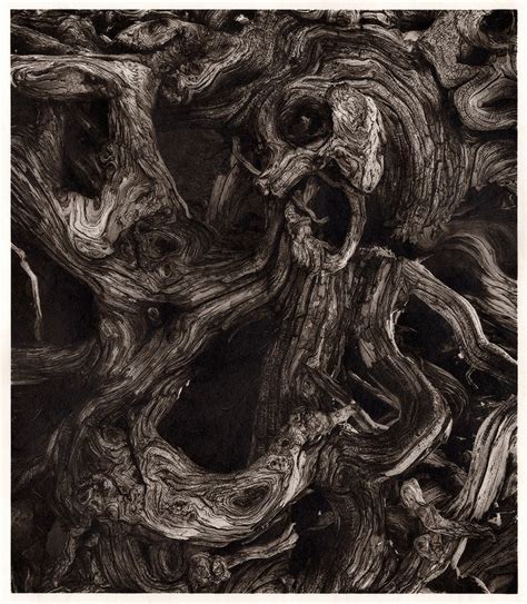 Black And White Abstract Wood Grained Tree Trunk Art