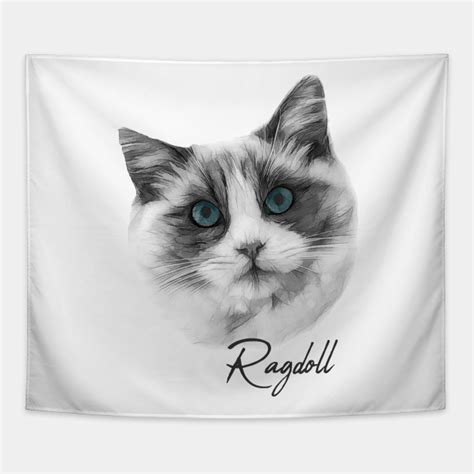 Ragdoll Cat Size Chart: A Visual Reference of Charts | Chart Master