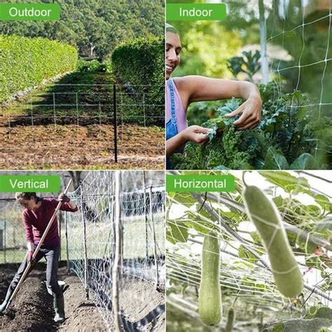 Hasthip Ft Creeper Plant Support Net For Agriculture And Gardening