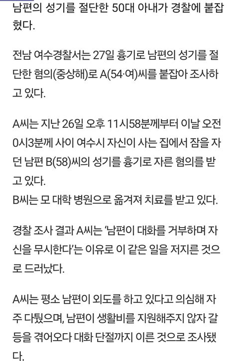 전남 여수 잠자던 남편 성기절단 아내 2심서 집행유예  일베 일간베스트 일베저장소