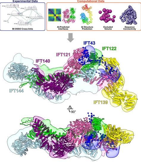 Integrative Modeling Reveals The Molecular Architecture Of The