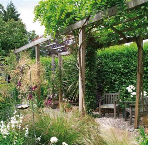 Pergola Bepflanzen Welche Kletterpflanzen Eignen Sich