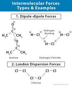 Intermolecular Forces: Definition, Types, and Examples