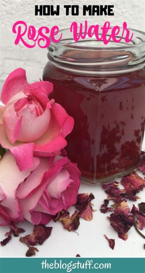 Homemade Rose Water Toner With Fresh And Dried Rose Petals Multiple Uses