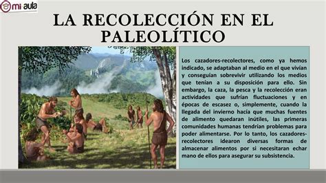 Evolucion cultural del paleolítico PPT