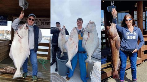 Westport Halibut Season Catch Trophy Fish Lingcod With Mutineer