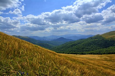 картинки пейзаж дерево природа трава горизонт пустыня гора