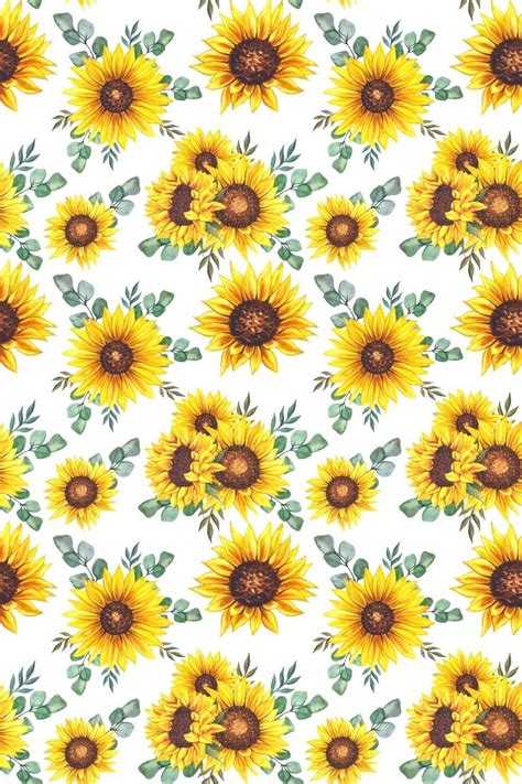 Sunflower Cartoon Wallpapers Wallpaper Cave