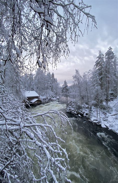 Snowshoe Hike In Oulanka National Park Ruka Safari Station