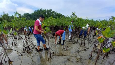 Urc Caps Off Environment Month Celebration With Nationwide Tree