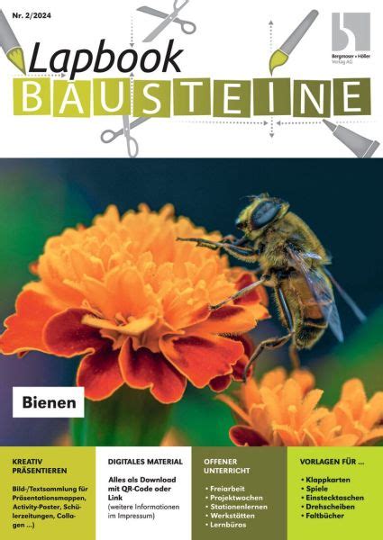 Bienen Lapbook Bausteine Lapbook Bausteine Grundschule