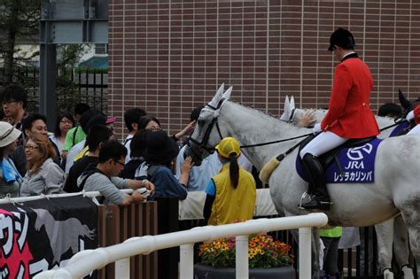 Jra：札幌競馬が開幕 夏の風物詩に歓声 写真特集34 毎日新聞