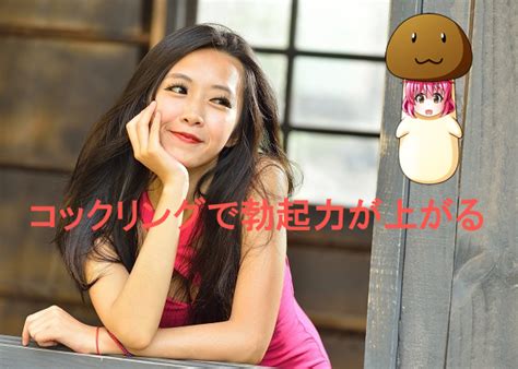 コックリングの効果と使い方と付け方！ペニスリングのおすすめとリアル体験談！ ちんトラ！