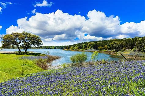 Colorful Spring Destinations In The United States Worldatlas