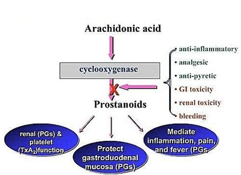 2): Mechanism of action of NSAIDs (14) | Download Scientific Diagram