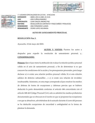 Saneamiento Procesal Pdf