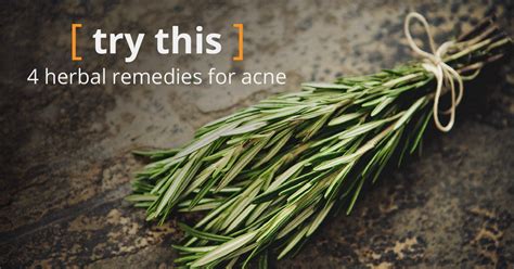 Herbs For Acne Know The Facts