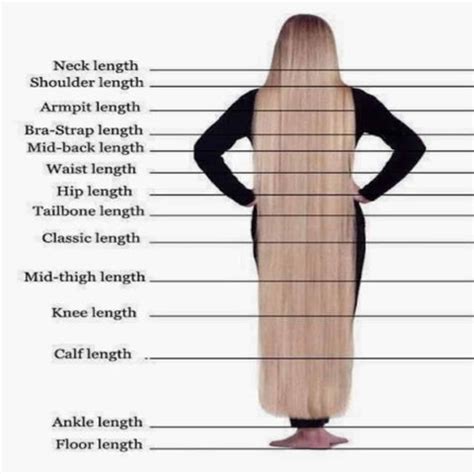 Hair Length Chart