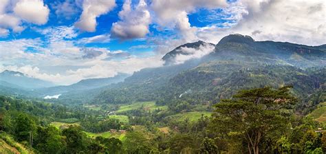 Ella Rock Hike | Travel Destination Sri Lanka