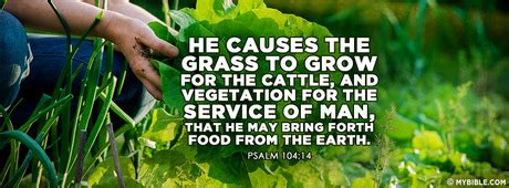 Psalm Nkjv He Causes The Grass To Grow Facebook Cover Photo