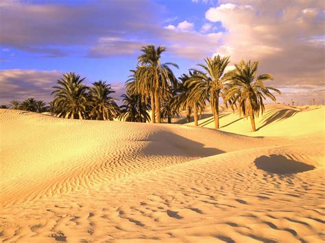 Sahara Desert Wallpapers - Top Free Sahara Desert Backgrounds - WallpaperAccess