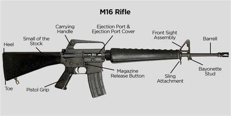 The Anatomy Of An M16 Rifle A Visual Guide To Its Parts Wiremystique