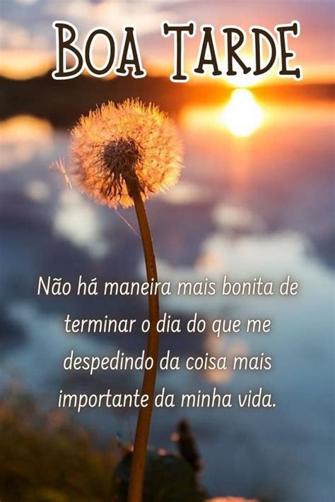 Frases De Boa Tarde Para Status Imagens Lindas E Especiais