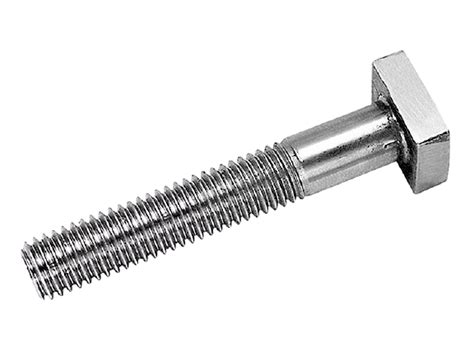 304 Stainless Steel Square Head Bolt – Biondi’s International Trading