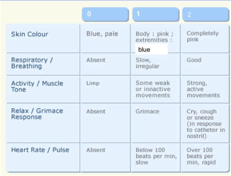 Peds Newborn Assessment Flashcards Quizlet