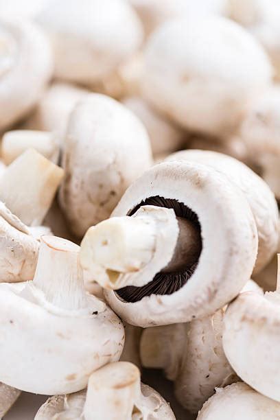 Whole White Mushroom Stock Photos Pictures And Royalty Free Images Istock