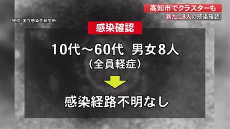 【詳報】新型コロナ高知県で新たに8人の感染確認 対応レベルを「警戒」へ引き上げ 【高知】 高知のニュース 高知さんさんテレビ