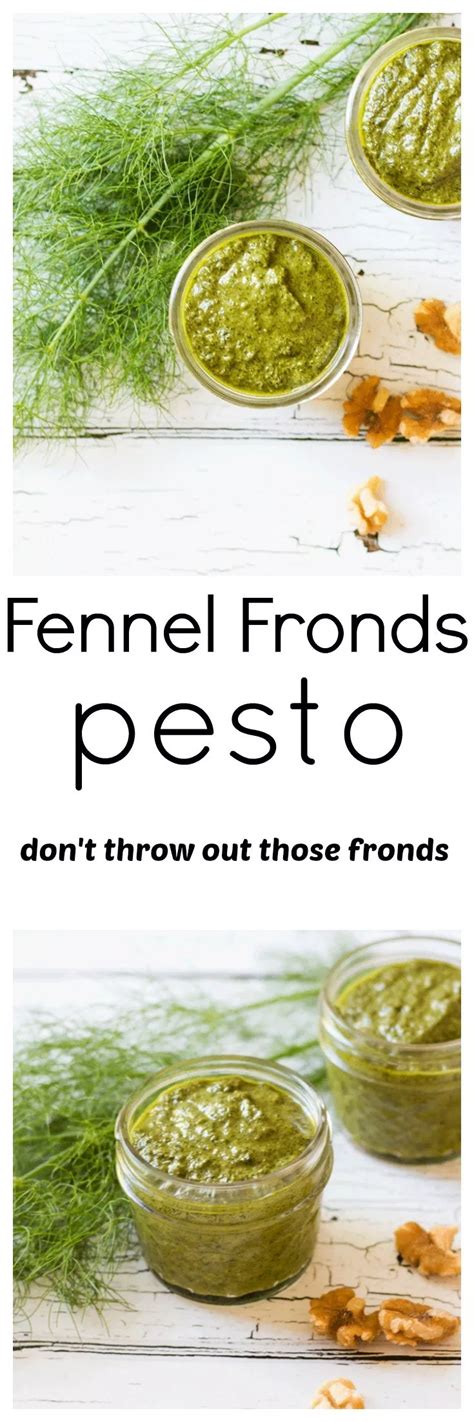 Fennel Fronds Pesto Fennel Recipes Pesto Fennel