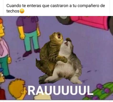 Cuando A Tu Compa Lo Castran Meme Subido Por Aidemyri19 Memedroid