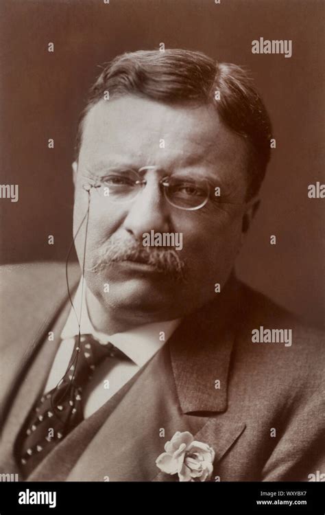 Theodore Roosevelt 1858 1919 26th President Of The United States 1901 09 Head And Shoulders