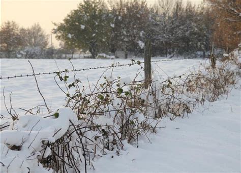 Tendance mois de décembre froid et neige vont ils simposer À quoi