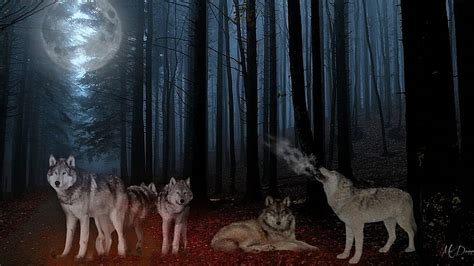 New Moon Wolf Pack Wallpaper