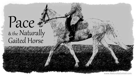 Pace And The Naturally Gaited Horse Naturally Gaited