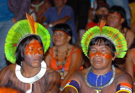 Australijskie Korzenie Indian Z Amazonii Przystanek Nauka