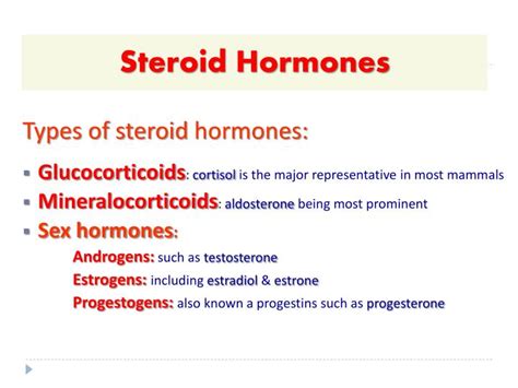 Ppt Steroid Hormones Powerpoint Presentation Id 6410063