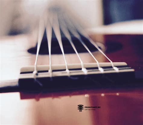 Дребезжат струны на гитаре - что делать если звенят струны на ...