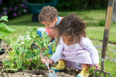 Download Planting Kids With Gardening Tools Wallpaper | Wallpapers.com 