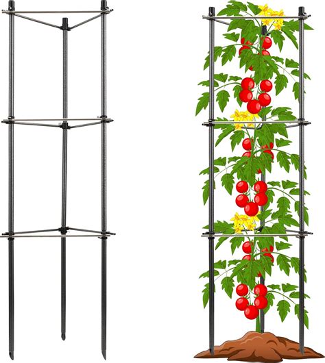 Tomato Cage Metal Heavy Duty Garden Tomato Plant Support