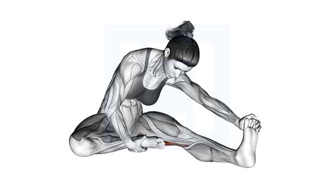 Seated Single Leg Hamstring Stretch Guide Benefits And Form