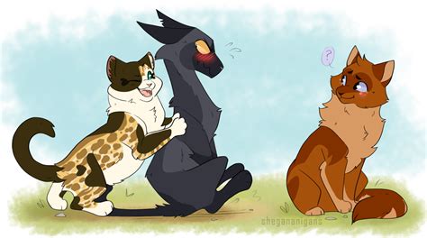 Warrior Cats Characters Shadowclan