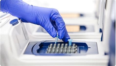 Polymerase Chain Reaction Pcr Science Of Healthy