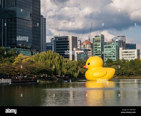 Seoul South Korea Oct072022 The Rubber Duck Project In Seoul