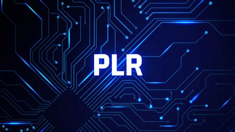 Tudo O Que Voc Precisa Saber Sobre O Mercado De Plr No Marketing Digital