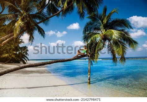 Beautiful Woman Bikini On Palm Tree Stock Photo 2142798471 Shutterstock